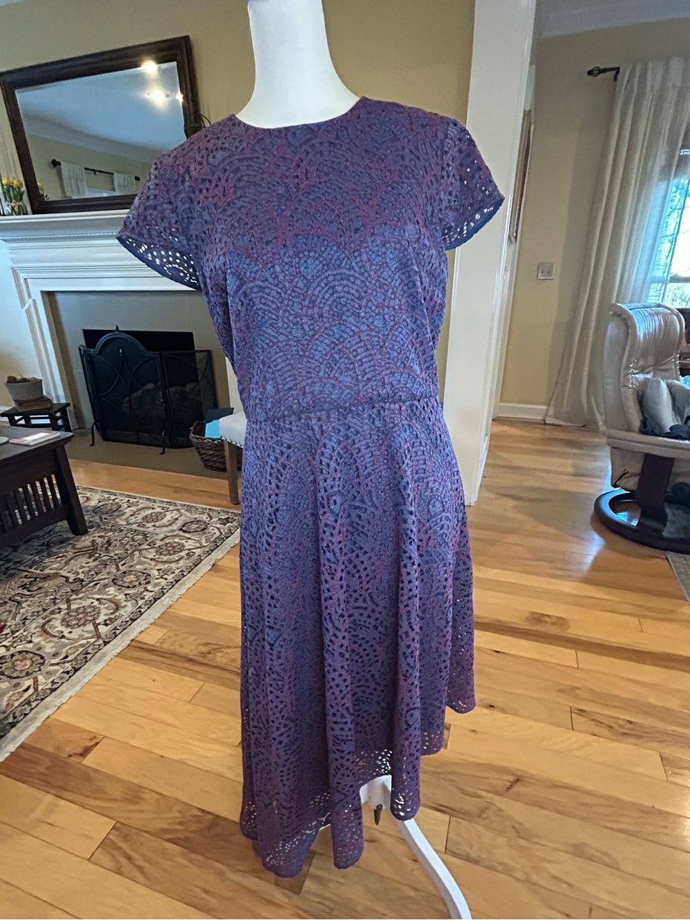 NWT Banana Republic Day Cap Sleeve Asymmetrical Hem Lace Dress